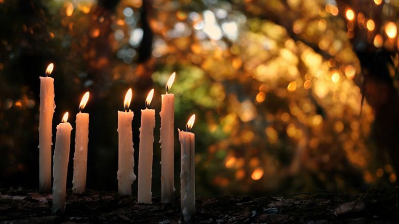 Chandelles dans la forêt d'automne