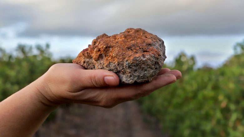 rock in hand outdoors