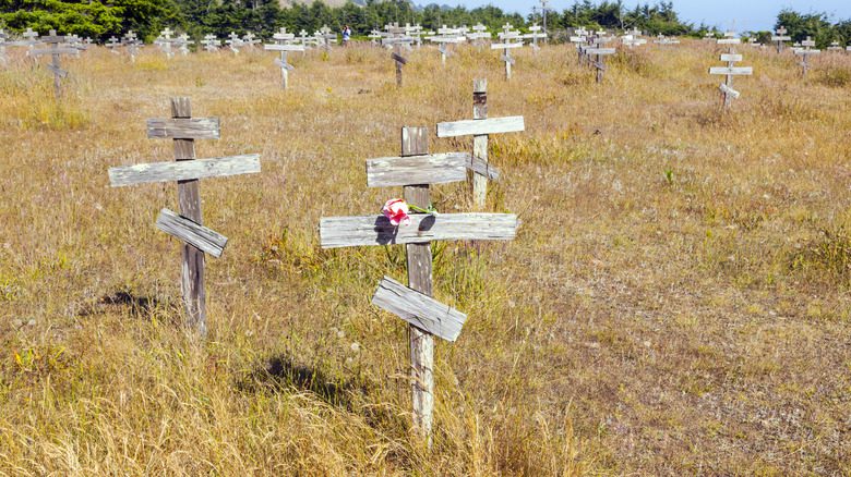 Cimetière de croix en bois de fortune